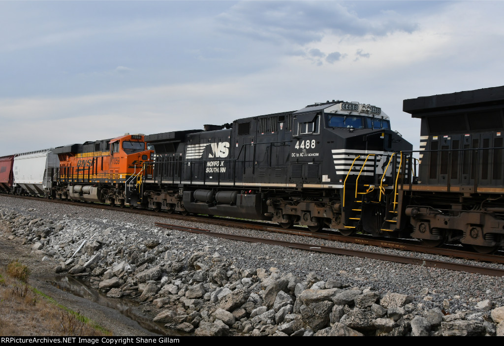 NS 4488 Roster shot.